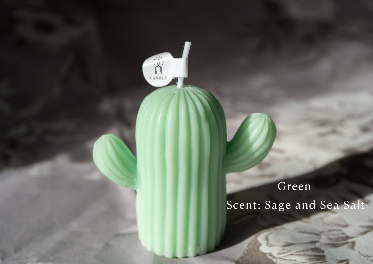 Cactus Candles