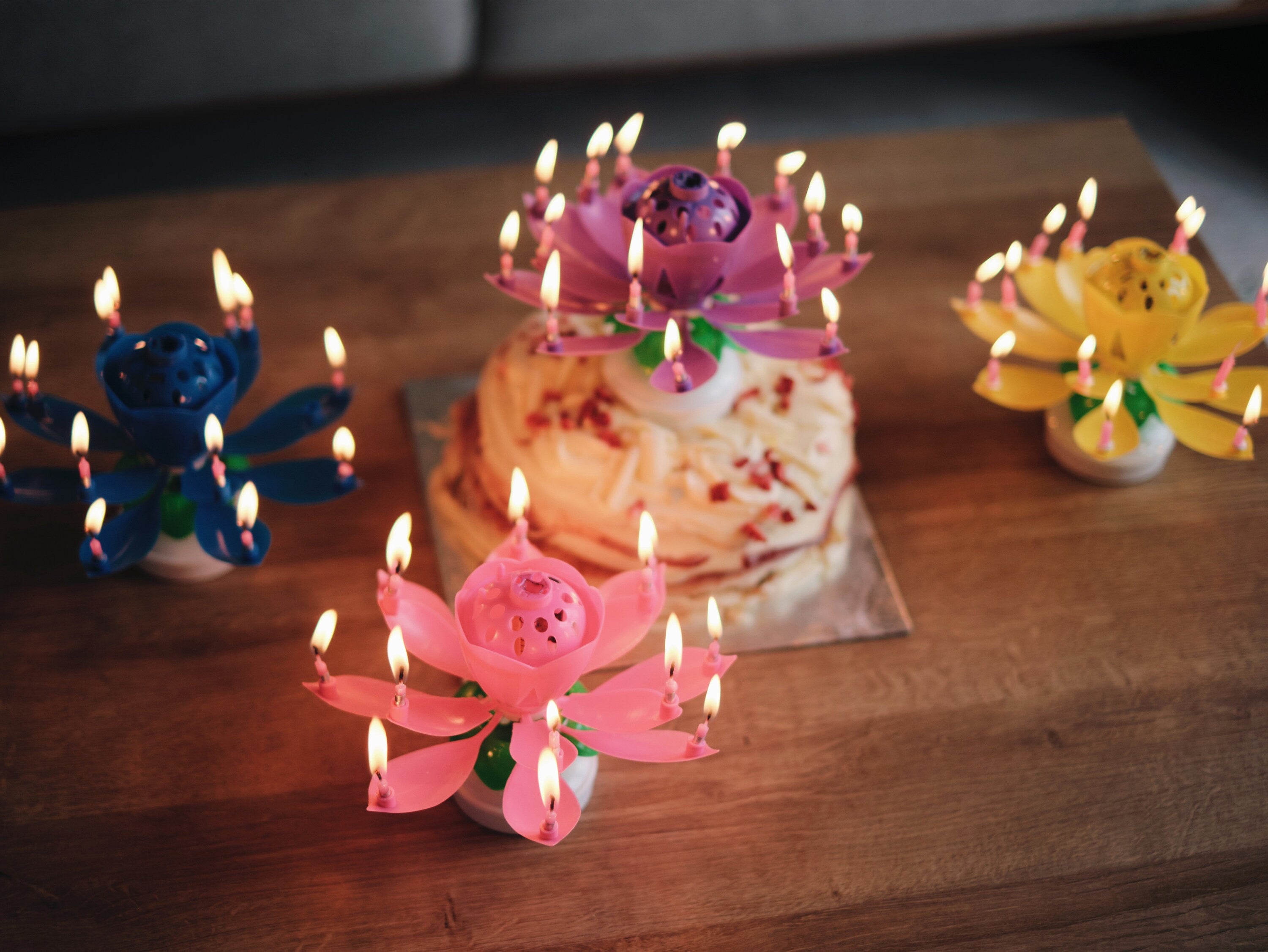 Birthday Candles, Music Birthday Candles