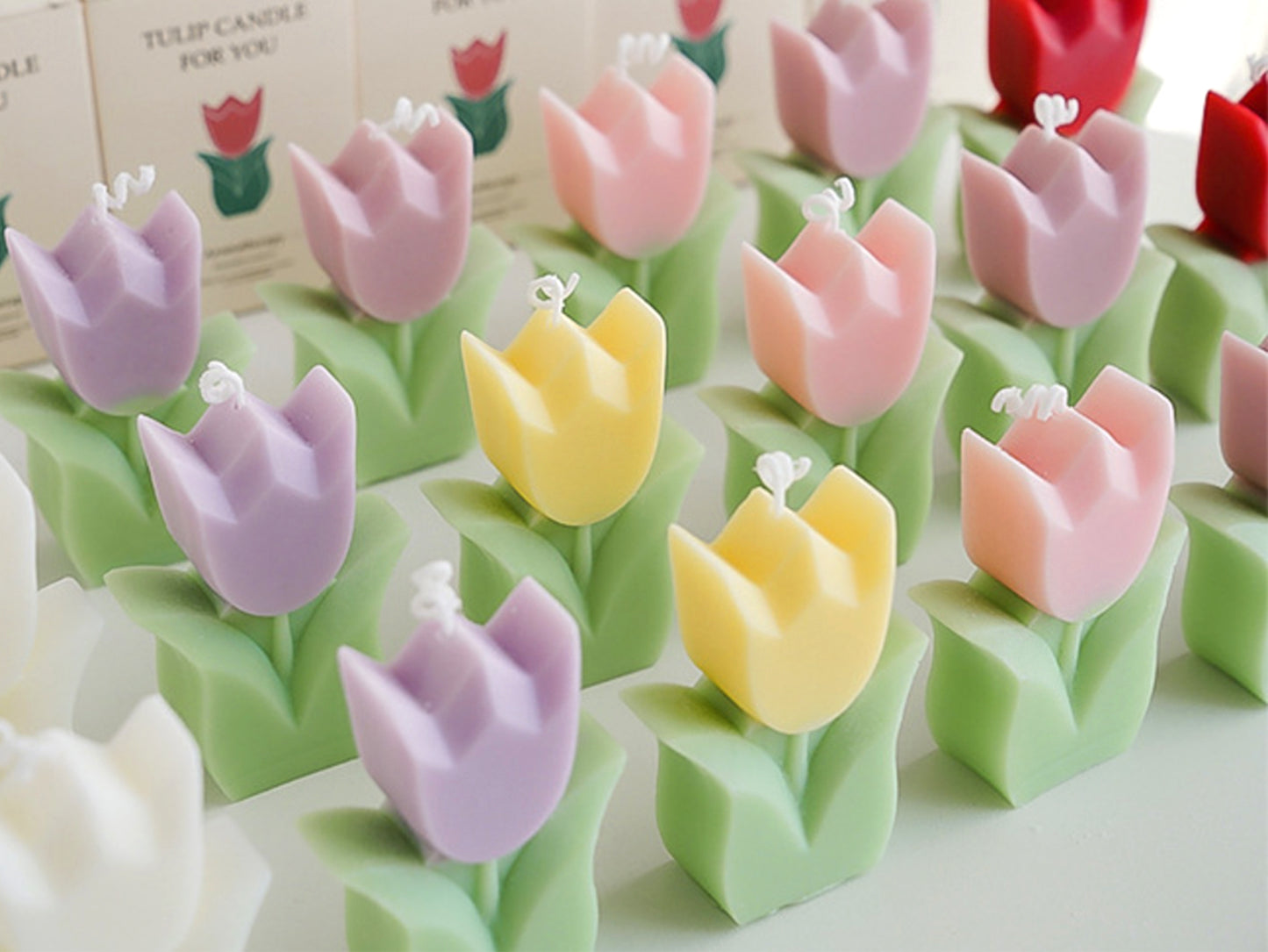 Handmade Tulip Scented Candles, Soy Wax Candles