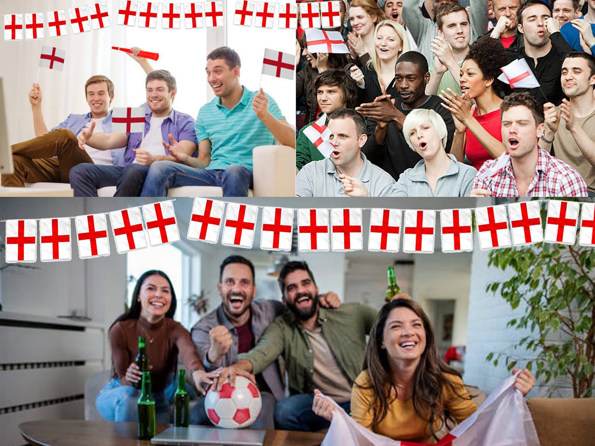 England Bunting